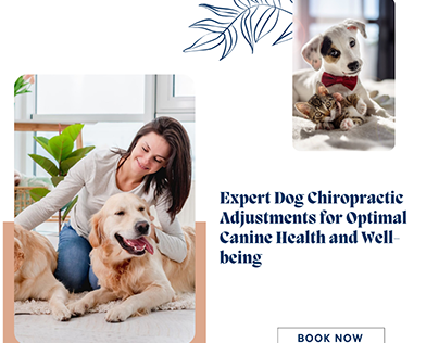 Expert Dog Chiropractic Adjustments