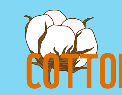 World Cotton Day video