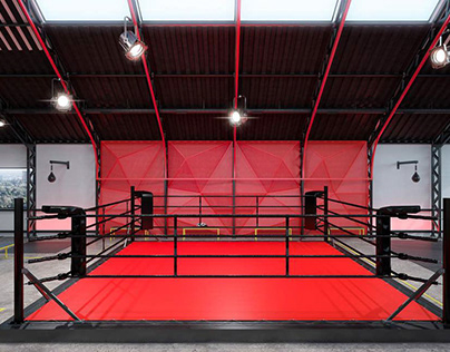 Design of a gym for boxing and MMA by ZOOI