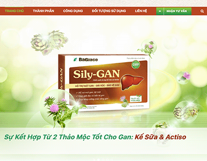 Sily-GAN Supplement Website