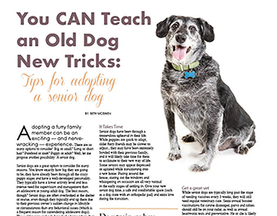 You can Teach and Old Dog