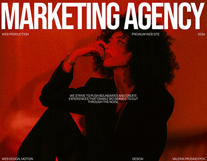 DANO. Marketing agency. UX/UI