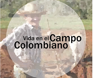 Infografía - Campo en Colombia