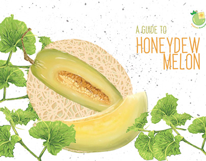 A GUIDE TO HONEYDEW MELON