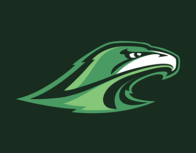 Hawks Logo Concept