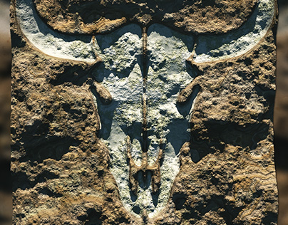 3D Skull of longhorn / Vue project