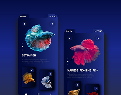 Fish finder app UI design