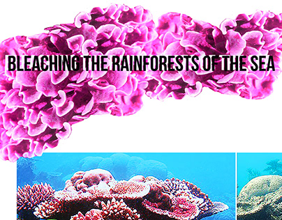 Reviving of the Great Barrier Reef