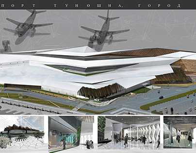 'Airport. Terminal' project
