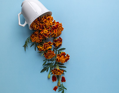 Coffee or tea cup with marigold flowers