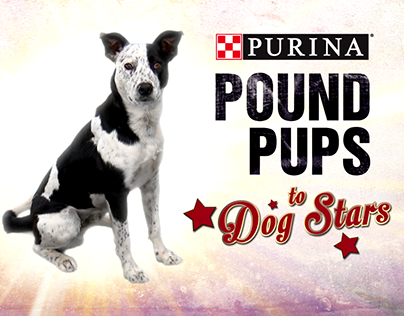 Pound Pups to Dog Stars Season 2