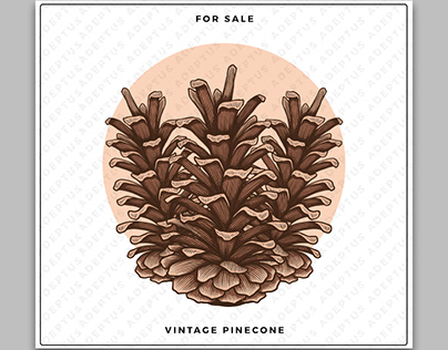 Vintage Pinecone