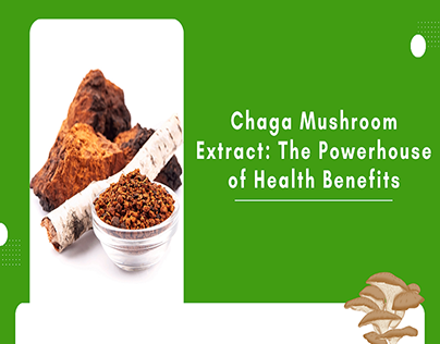 Chaga Mushroom Extract: The Powerhouse of Health boost