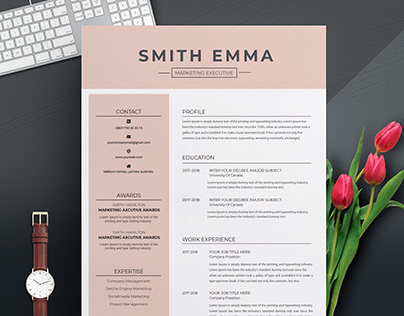 Professional Resume Template MS Word CV Design Template