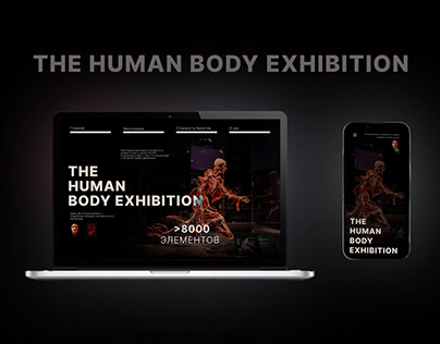 Веб сайт для анатомической выставки
