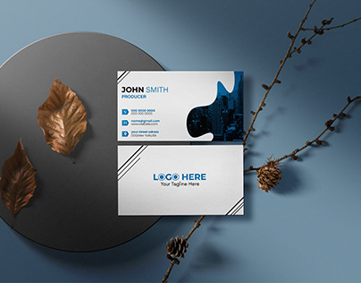 Professional Corporate Business / Visiting Card Design