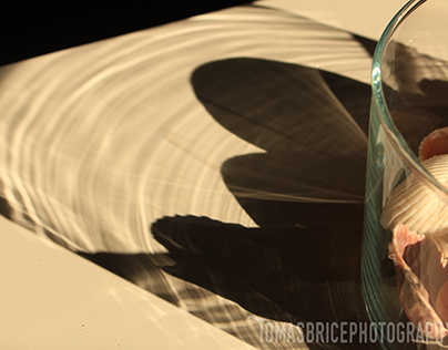 Abstract Photography - Close Up Shadow and Form