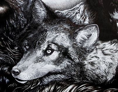 Wolf Detail Two