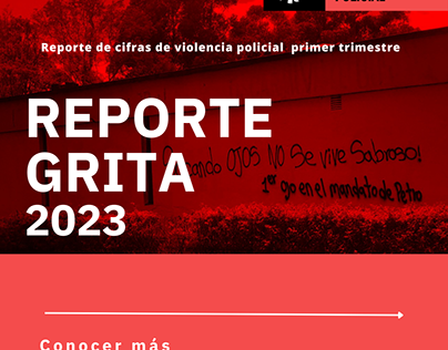 Proyecto Tipo Carrusel Reporte GRITA 2023