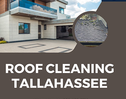 Roof Cleaning in Tallahassee