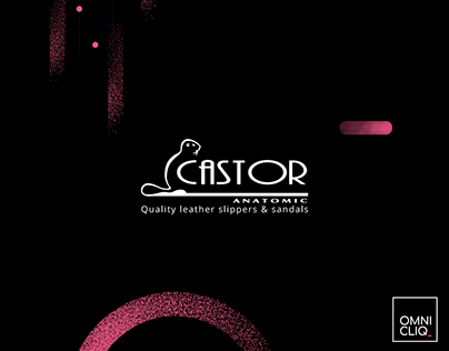 CASTORANATOMIC.GR | Website Redesign