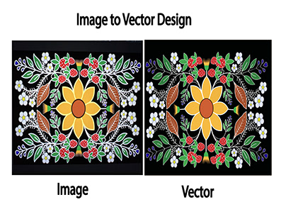 Image to Vector Design