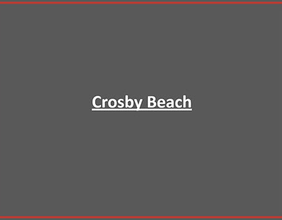 Crosby beach photography 2020