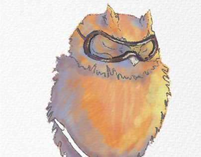 Goggle owl