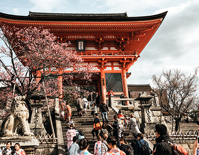 Kyoto, Japan | Photography