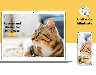 Redesign for website Shelter for blind cats
