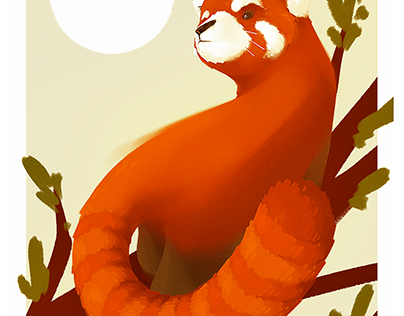 Red Panda Poster