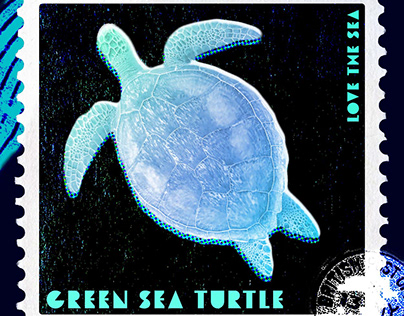 Green Sea Turtle - Stamp