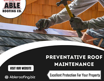 Protect Your Roof From Damage