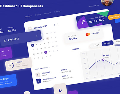 Financial Management Dashboard UI Design