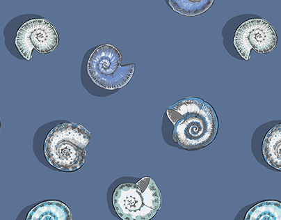 Hand drawn sea and molluscan shells patterns
