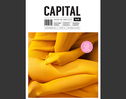 Capital Issue 44