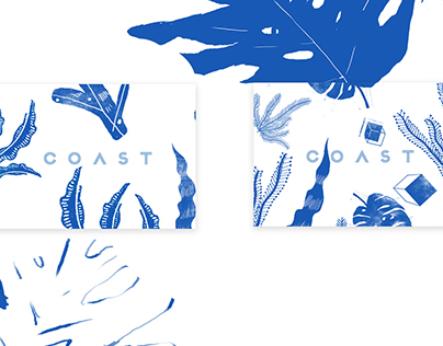 《COAST海岸藻油皂包装设计》PACK