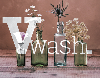 Vwash - Packaging Design