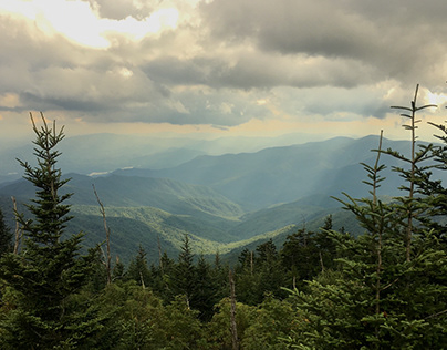 Various Shots From The Great Smoky Mountains 8/19