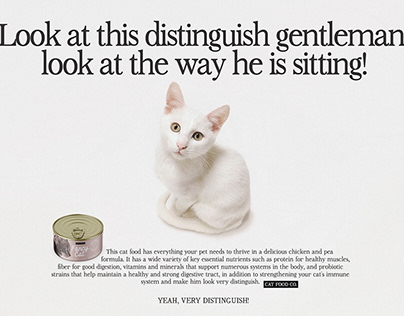 Retro Magazine Ad of a Distinguish Gentleman Cat