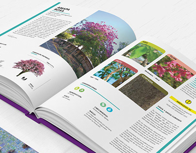 Manual de Arboricultura Urbana / Culiacán Sinaloa