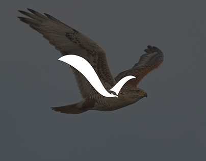Vega Hawk i - Logo Design