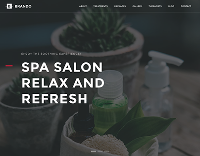 Brando Spa Salon Wordpress Theme