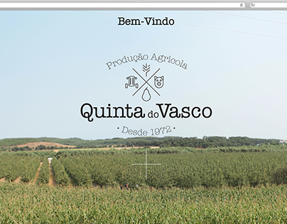 Web Site - "Quinta do Vasco"
