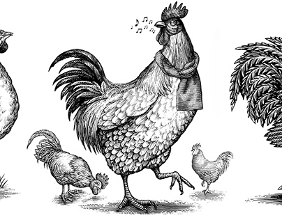 Rooster/Chicken Illustration Collection by Steven Noble