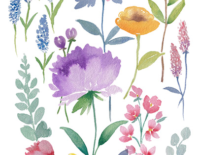 Hand Painted Watercolor Florals