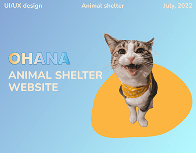 Animal shelter UI/UX