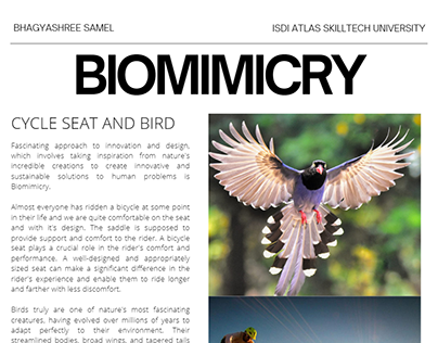 Biomimicry Blog