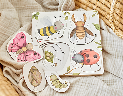 Illustrations for wooden puzzle bug's life cycle