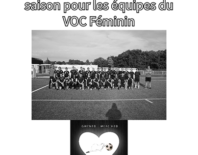 Proje minik resmi - Affiche pour les filles du vannes oc